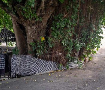 Banyan-Tree-Bali-Poleng