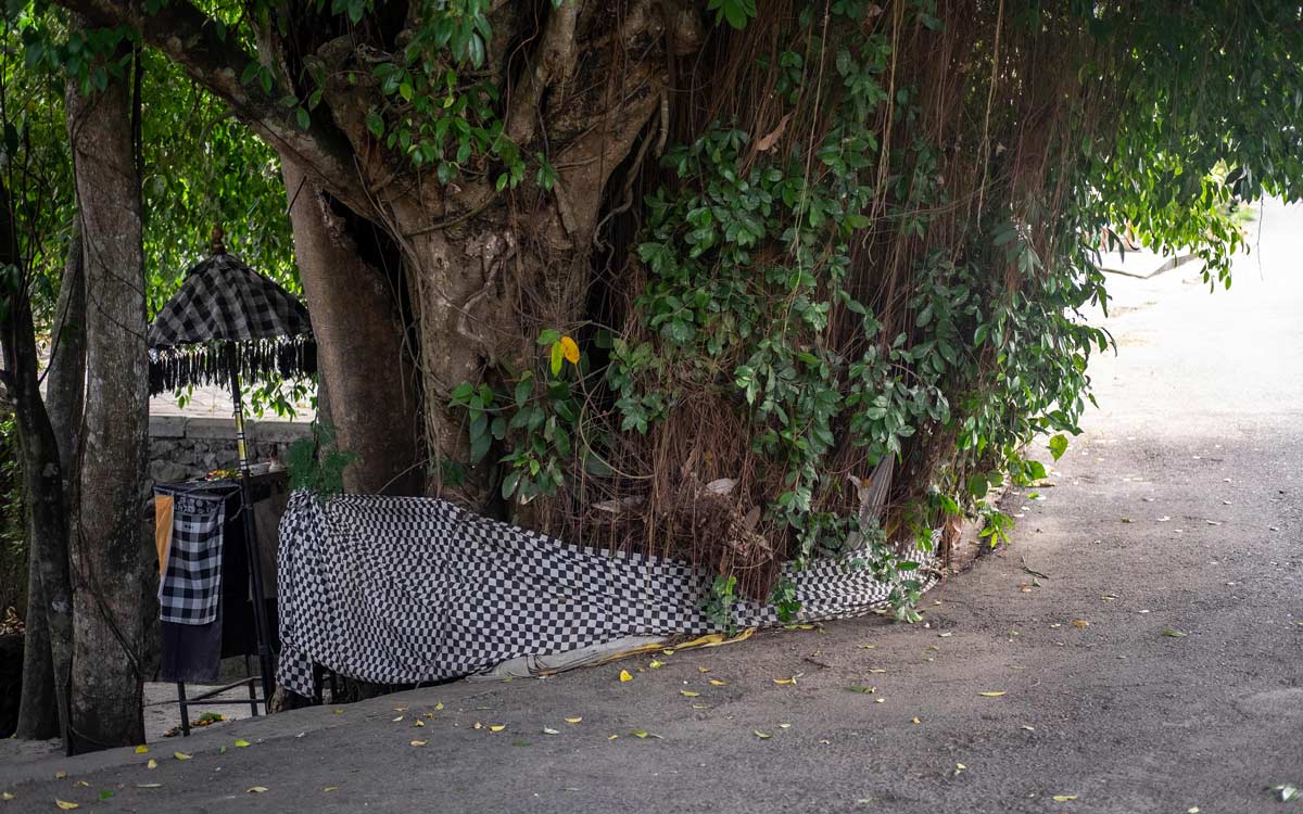 Banyan-Tree-Bali-Poleng