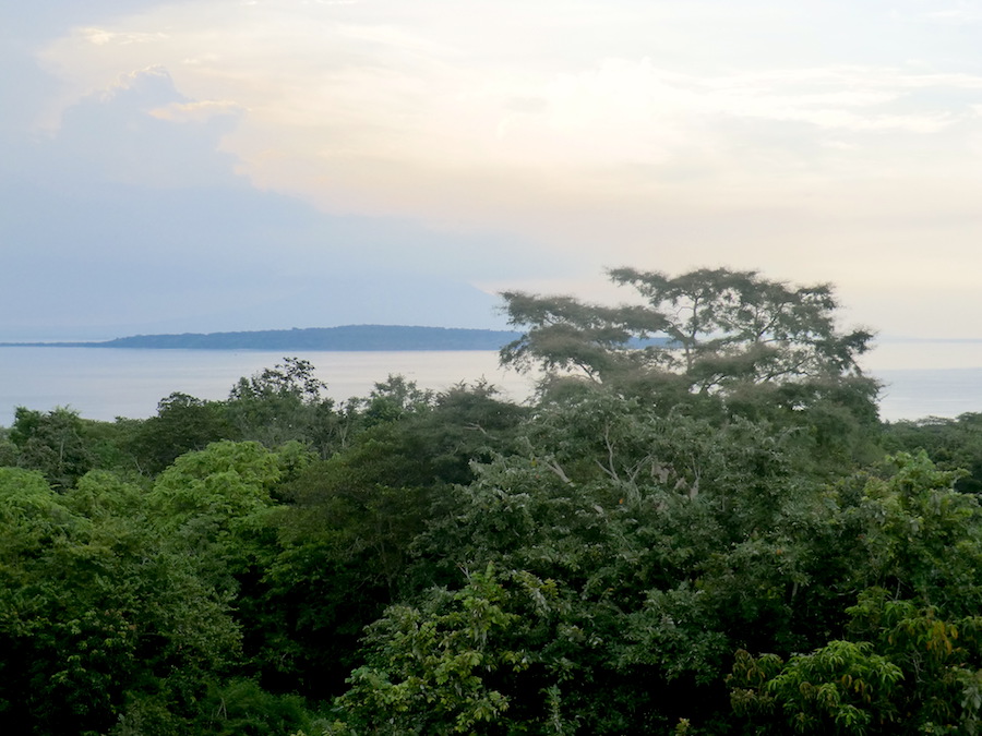West Bali National Park