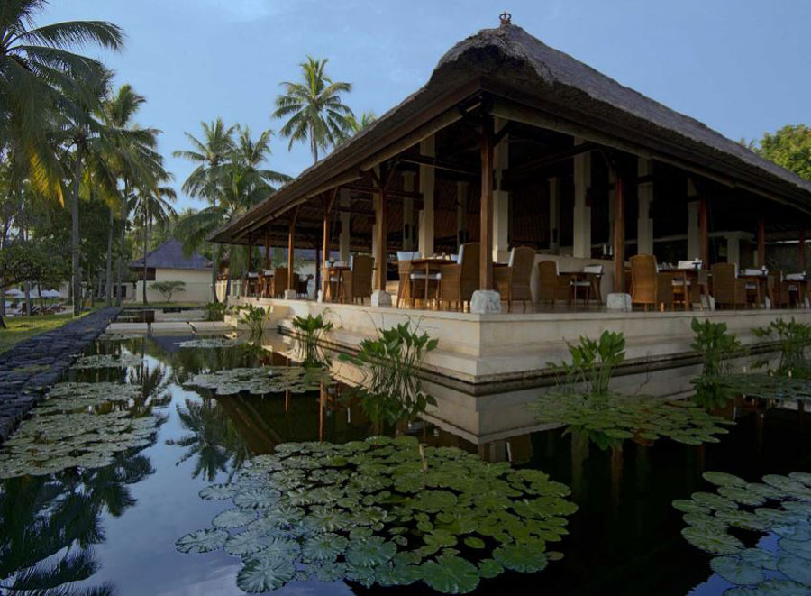 Alila Manggis 10