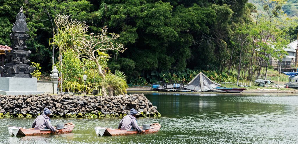 Camping in Bali