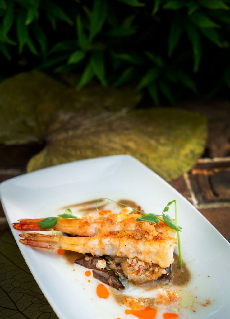 Amazon Christmas - Above Eleven Bali 6