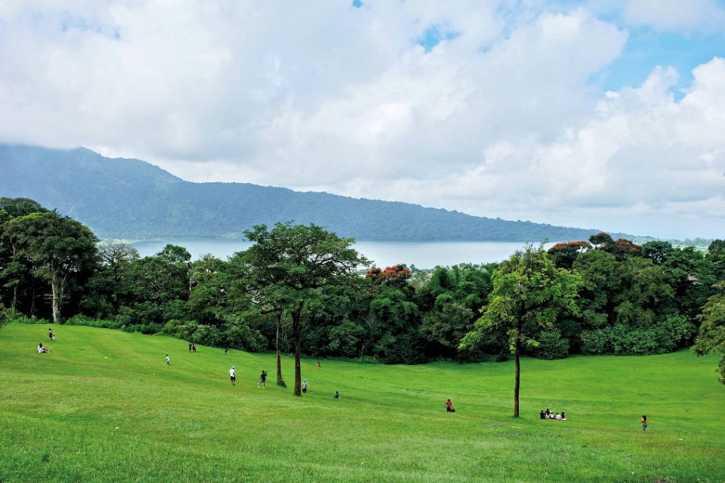 bloom Botanical Gardens Bedugul Bali