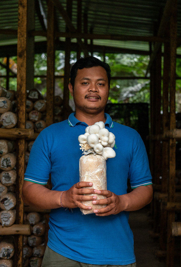 Gede Jamur Bali NOW BALI 2