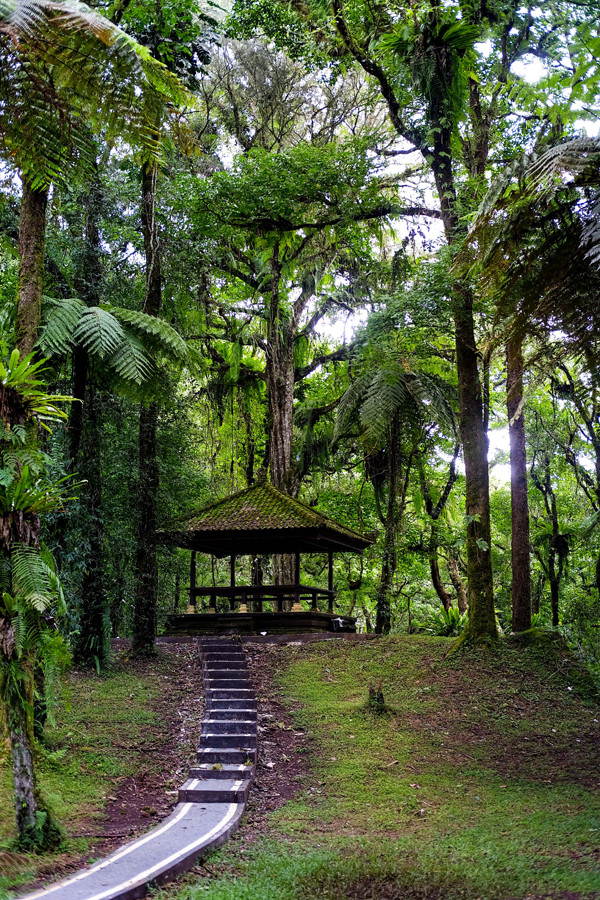 NB March 2020 - WTG Bedugul Bali - Botanical Gardens 5
