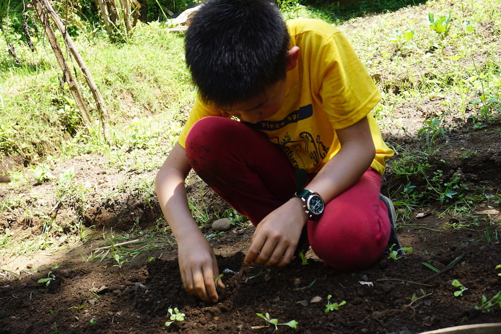 Green Camp Bali 3