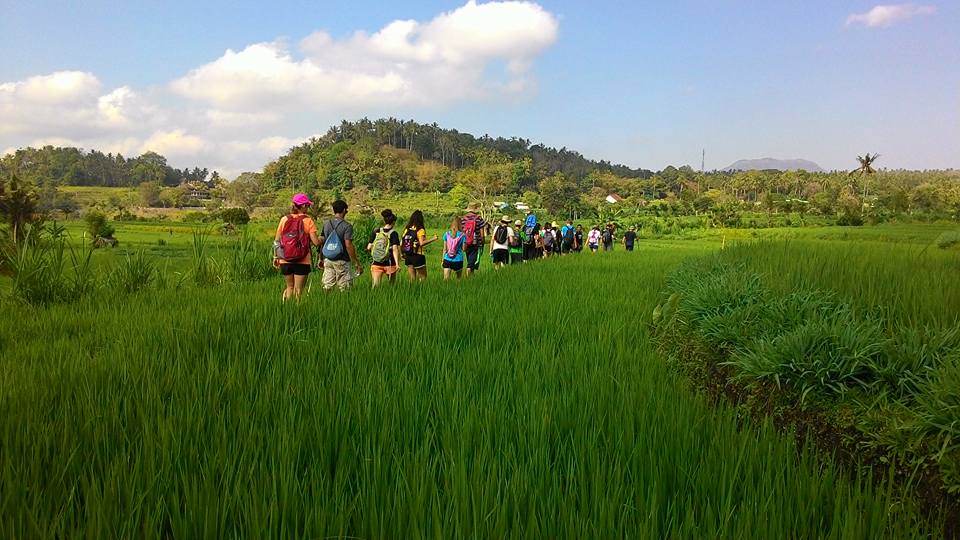 Green Camp Bali 3