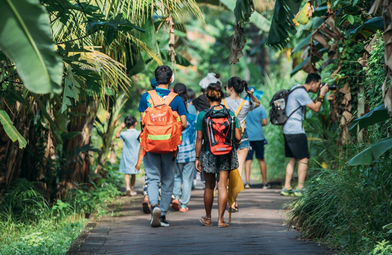 Green Camp Bali Reopens, Invites You to Enjoy the Great Outdoors! NOW! Bali