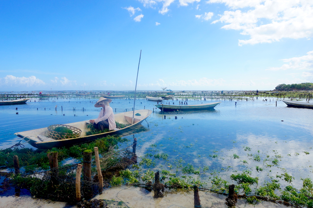 Seaweed farmers of Nusa Lembongan Bali