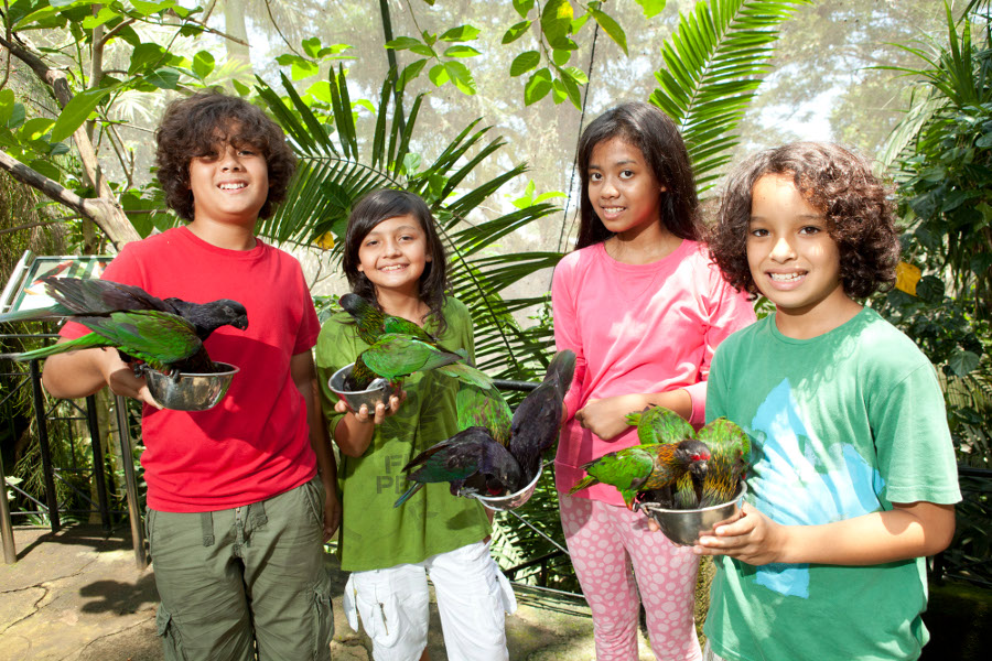 Bali for Kids - Bali Bird Park 3