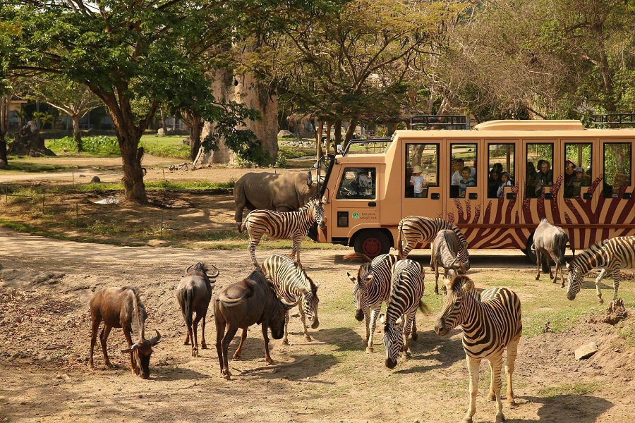 Bali for Kids - Bali Safari & Marine Park 2