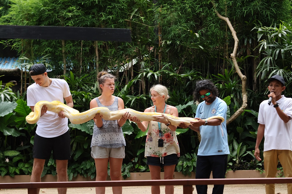 Bali for Kids - Bali Zoo Animal Presentation 2