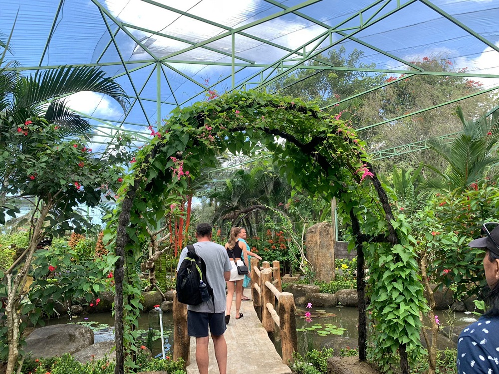 Bali for Kids - Kemenuh Butterfly Park 2