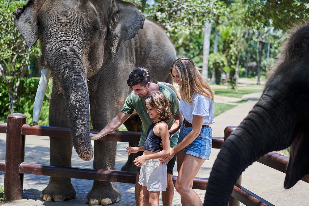 Bali for Kids - Mason Elephant Park 1