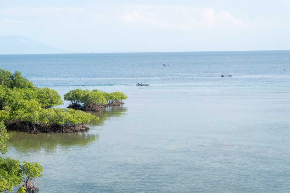 Plataran Menjangan Resort
