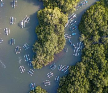 Wana-Segara-Kertih-Kedonganan-Mangrove-Bali