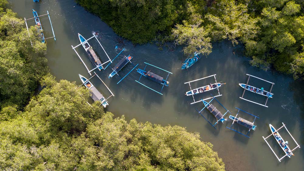 Wana-Segara-Kertih-Kedonganan-Mangrove-Bali-6