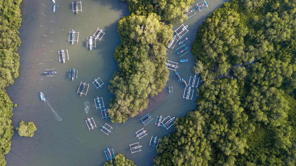 Wana-Segara-Kertih-Kedonganan-Mangrove-Bali