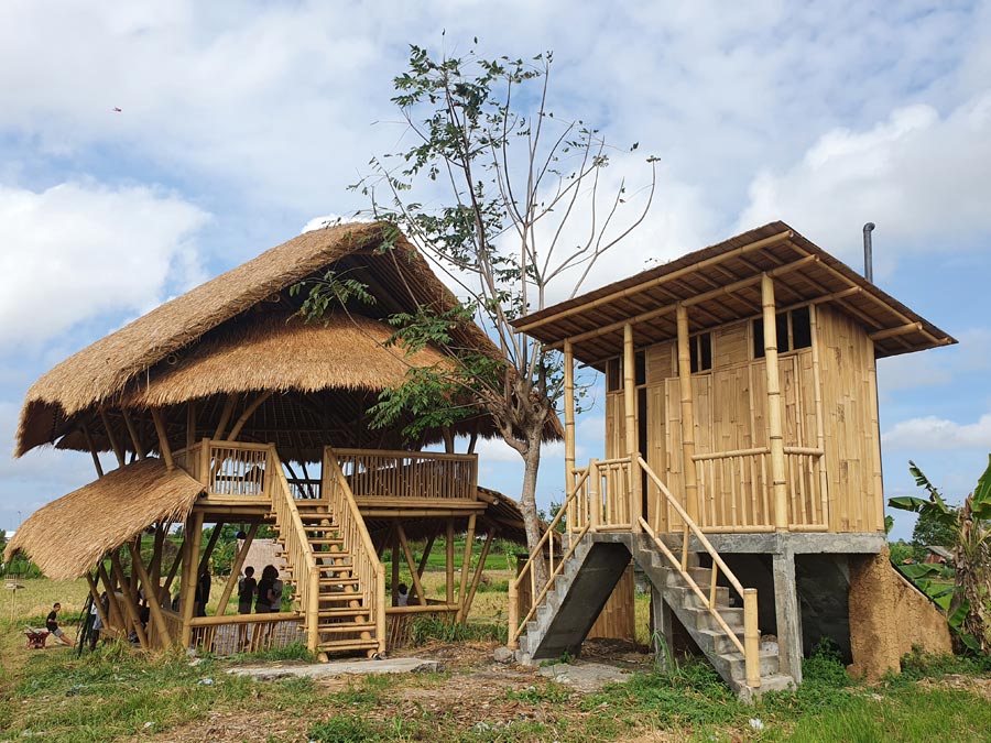 Bamboo-Bale