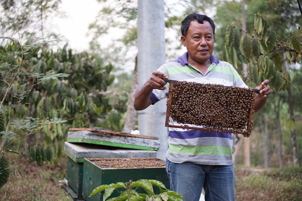 Tugu-Kawisari-Coffee-Plantation-Java-Indonesia-2