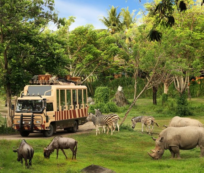 Bali Safari