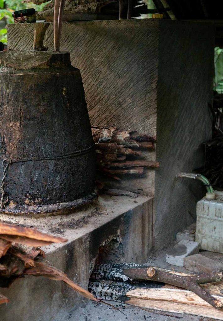 Karangasem-Arak Bali-Process-Farmers-How-Its-Made-Tri-Eka-Buana