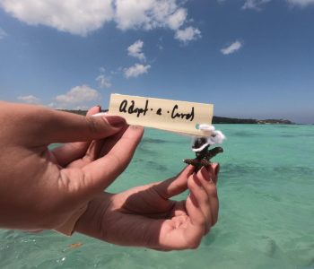 Coral-Triangle-Center-for-Marine-Protection-Sanur-Bali-5