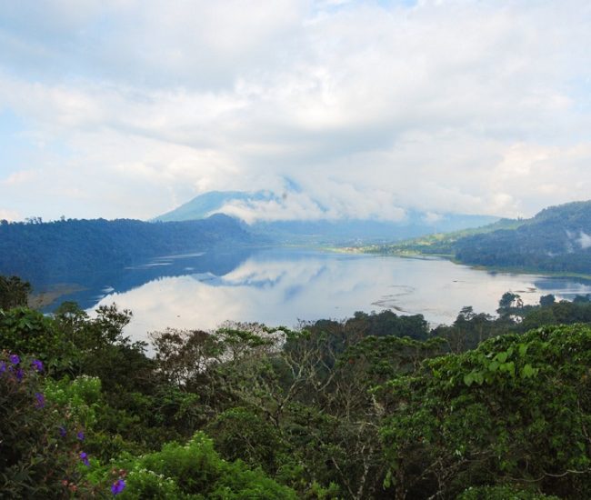 Saving Waters - Bedugul