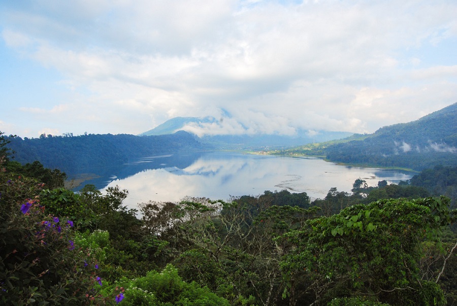 Saving Waters - Bedugul