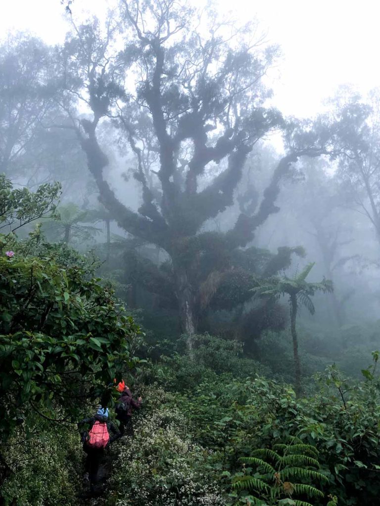 Mountains-in-Bali-Mount-Abang-1