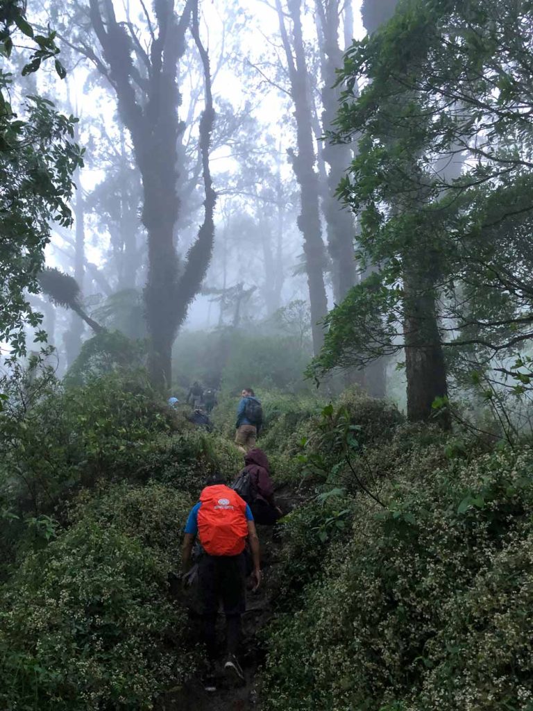 Mountains-in-Bali-Mount-Abang-1