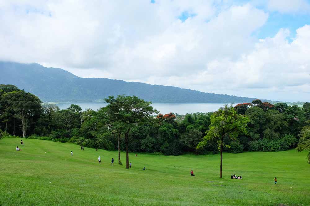 Rain-Forests-in-Bali--Bedugul-Botanical-Park