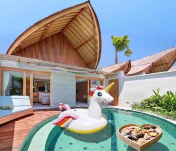 Pool Floatie