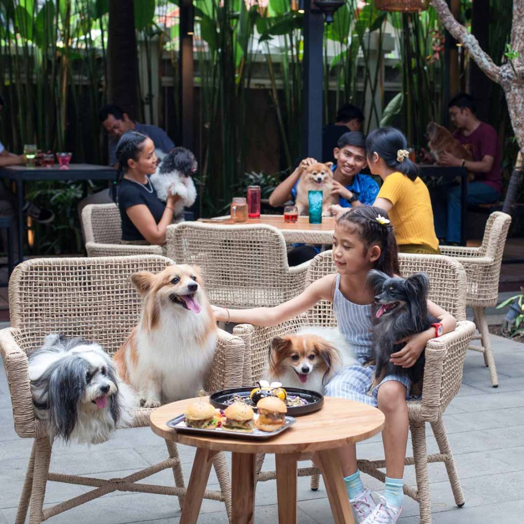 Double Bee Cafe and Resto Denpasar Bali