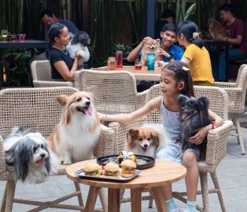Double Bee Cafe and Resto Bali - Pet.jpg