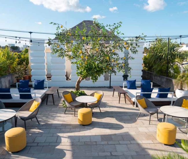 Citron-Vincent-Nigita-and-Mauri