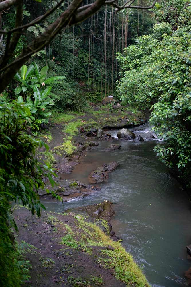 NB-July-22---Ubud-Story-Walks-1