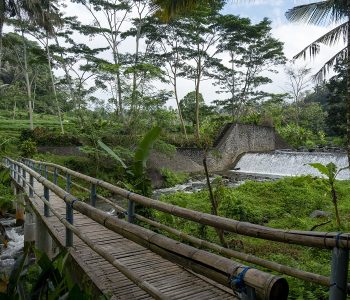 Trails Through Tenganan 1