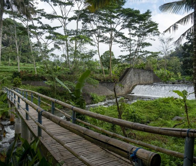 Trails Through Tenganan 1