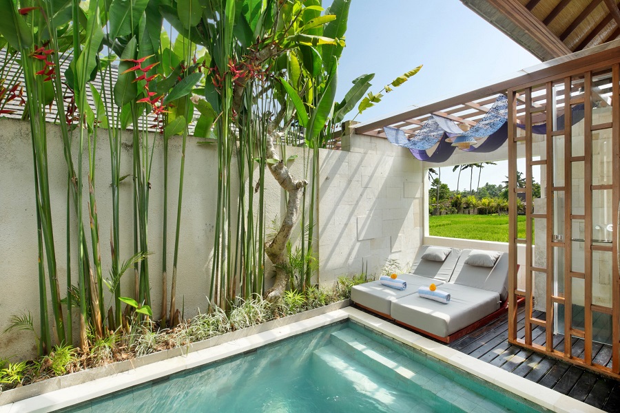 13 (Royal One Bedroom Ricefield View)