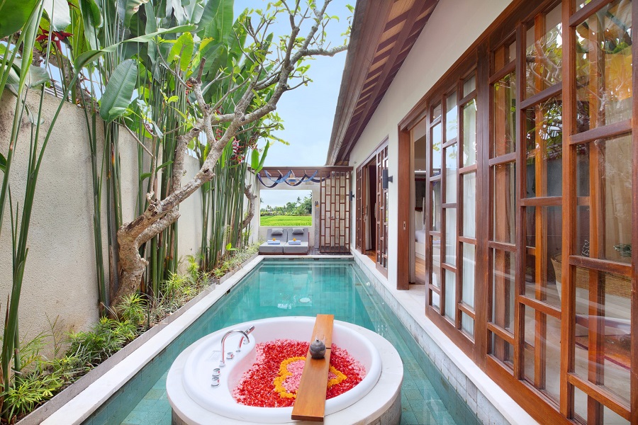 14 (Royal One Bedroom Ricefield View)