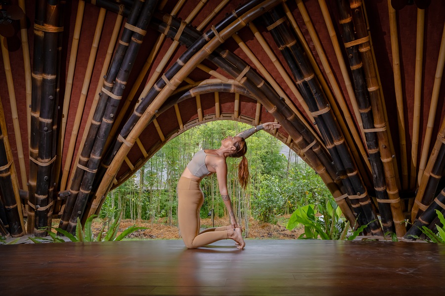 Alchemy Yoga 1