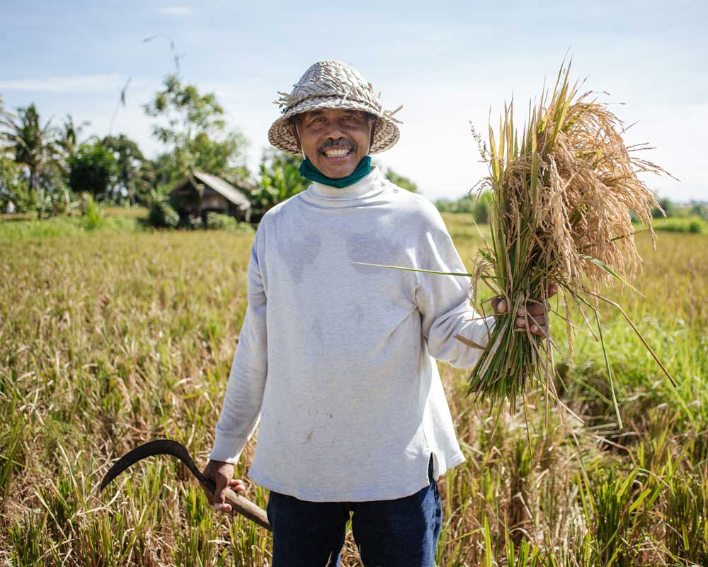 Learning to Farm in Bali