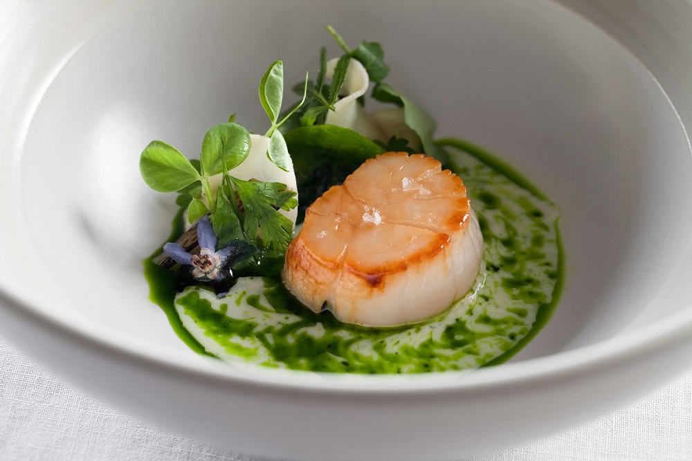 Il Ristorante - Luca Fantin - Scallop Dish