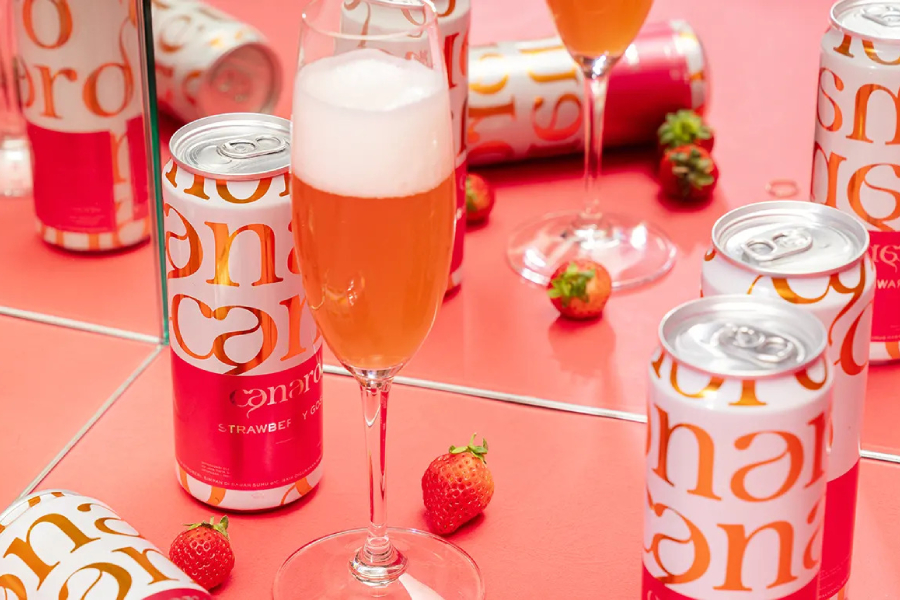 Canard - Strawberry Gose