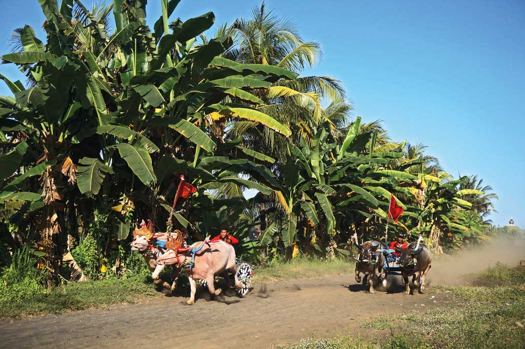 Biggest Events in Bali Annual Calendar 2024