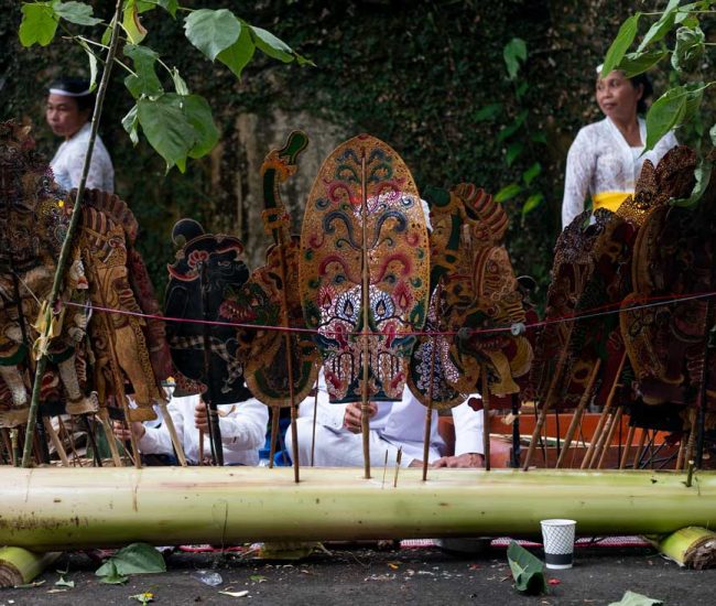 Tumpek-Wayang-Bali-1