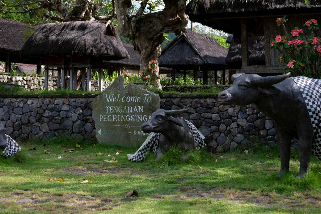 Desa-Adat-Tenganan-Village-Pegringsingan-Bali-1