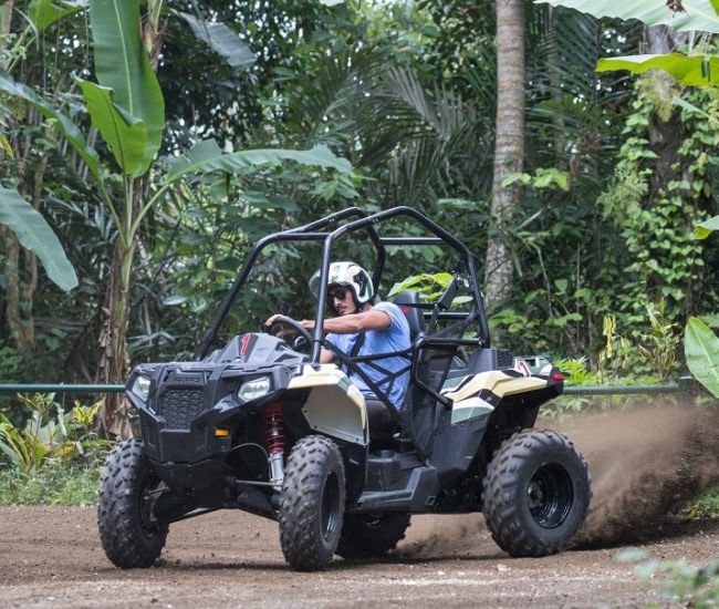 Mason Jungle Buggies 2 (Low Res)