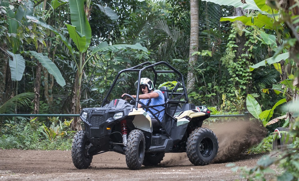 Mason Jungle Buggies 2 (Low Res)